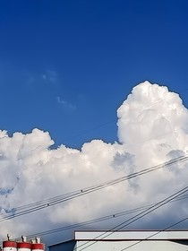 异能仙所