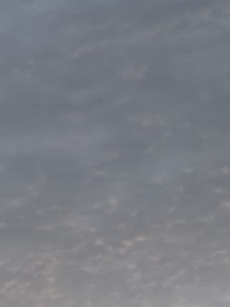 千年狐：