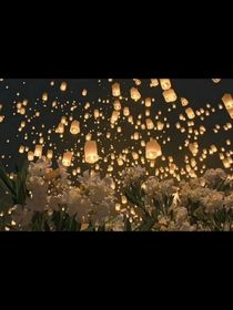 ZYL：星海灿烂