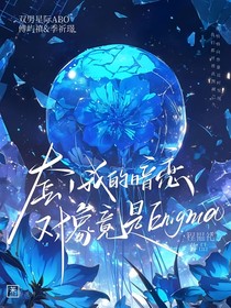 套！我的暗戀對(duì)象竟是Enigma