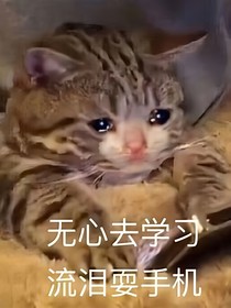 凹凸乙女段子集合