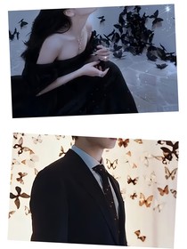 星辰和蝴蝶的邂逅