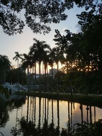 那个阳光明媚的日子