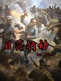 日落行动