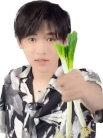 桑屿星