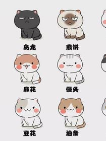 历喵日常（有自设喵）