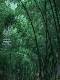 從未忘過你