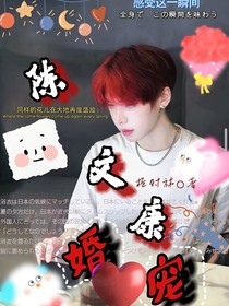 陈文康：婚宠