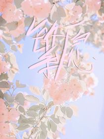繁愿