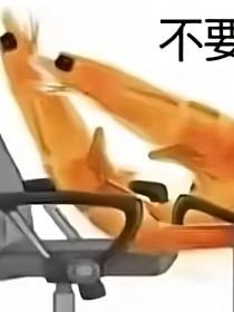 重生之我变成了一只狸花猫