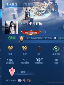 王者经历