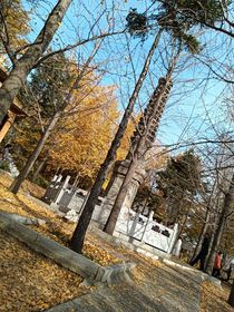 東方耀城（校園）