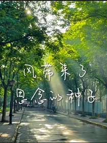 風(fēng)帶來(lái)了思念的種子