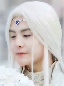 幻城之桃之夭夭，灼灼其華