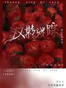 双镜迷踪