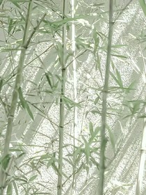 TNT：倒霉催的那年