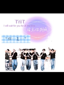TNT：宿主你别疯