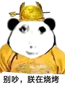 查九：白月光小姐只想领盒饭