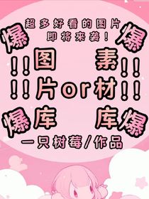 图片库or素材库