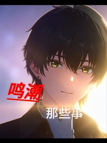 鸣潮那些事