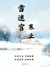 雪迷宮：寒止