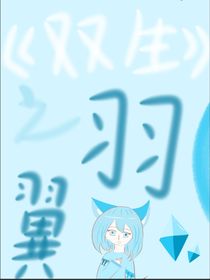 双生之羽翼