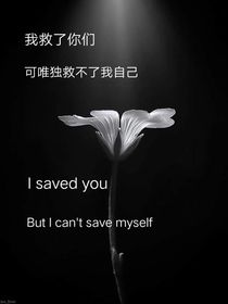 all轩：我救了你们可唯独救不了我自己