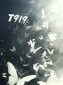 T919——指挥官好久不见