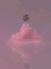 不許裝菜