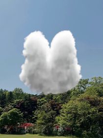 邵李