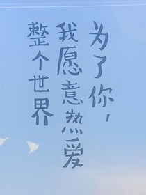 皓采细文