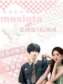 TF—四代：盛夏的暗戀