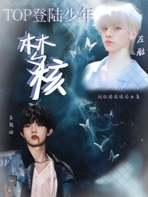 TOP登陆少年：梦核