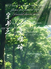 穿书之心意难确