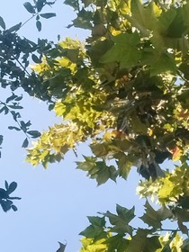 每日一问：悟君今天在干什么