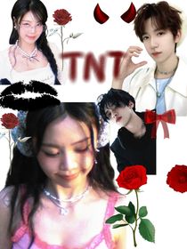 TNT：高校物語……
