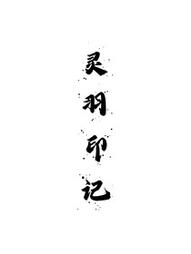 灵羽印记