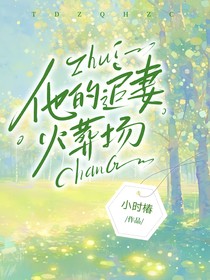 他的追妻火葬场