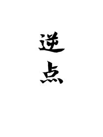 逆点-d216