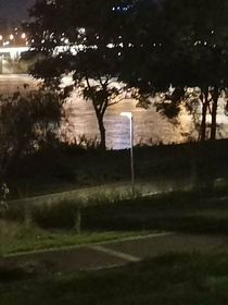 大佬的替身金丝雀