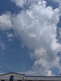 光环下的少年—之重逢