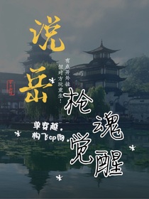 說岳：槍魂覺醒
