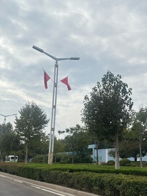 驚愛