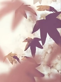 危險(xiǎn)性