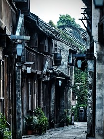 天生恶种