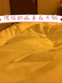 雀室：擺爛的咸魚在干嘛