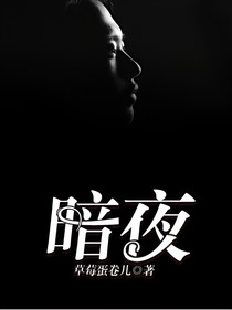 -暗夜