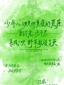 小说语录摘抄