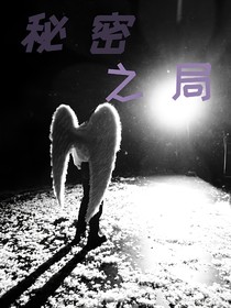 秘密之局