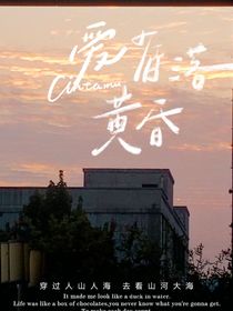 （董序VS司白楠）难懂